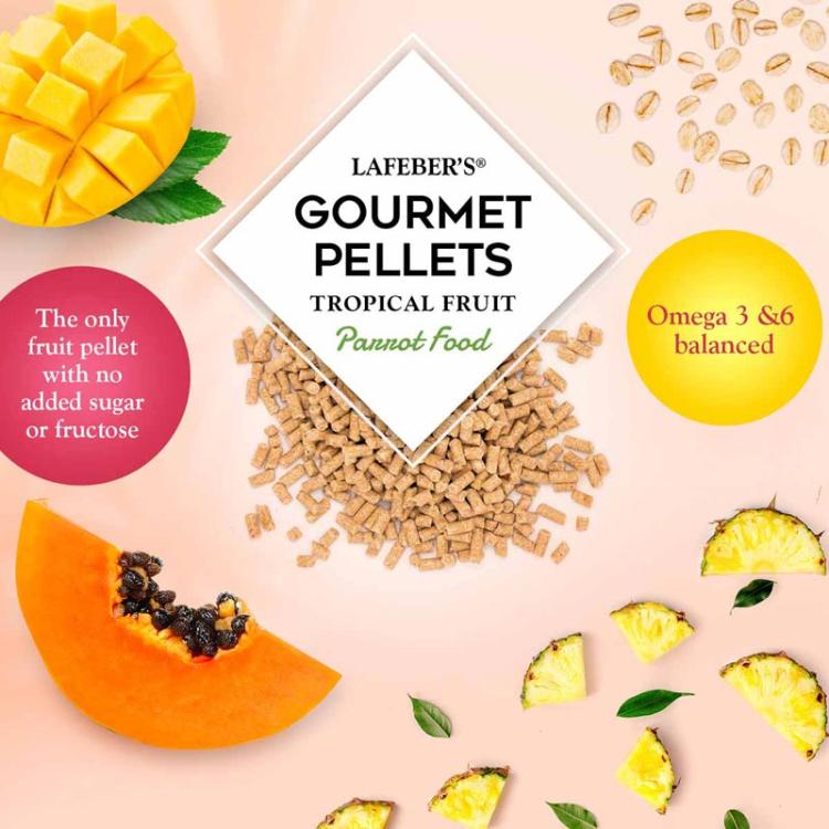 Lafeber Gourmet Pellets Tropical Fruit Parrots – granulés complets aux fruits tropicaux pour perroquets moyens et grands, 567 g ParrotPlanet.fr