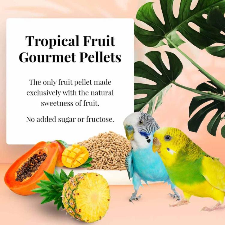 Lafeber Gourmet Pellets Tropical Fruit Budgies – granulés complets aux fruits tropicaux pour perruches ondulées, 567 g  ParrotPlanet.fr