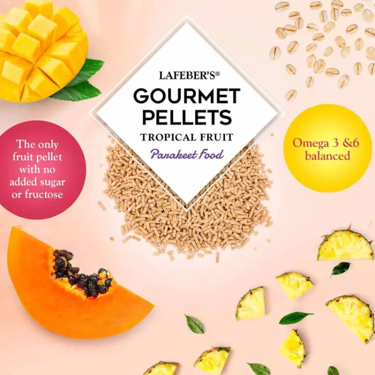 Lafeber Gourmet Pellets Tropical Fruit Budgies – granulés complets aux fruits tropicaux pour perruches ondulées, 567 g  ParrotPlanet.fr