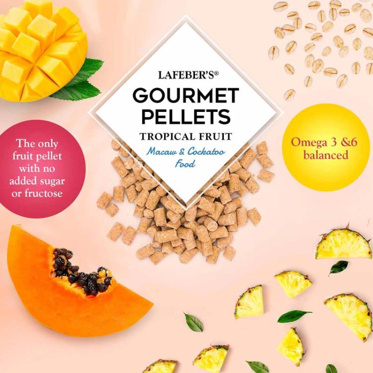 Lafeber Gourmet Pellets - Tropical Fruit - Macaw & Cockatoo - Zbilansowany pokarm: granulat z owocami dla AR I KAKADU 567g od ParrotPlanet.pl