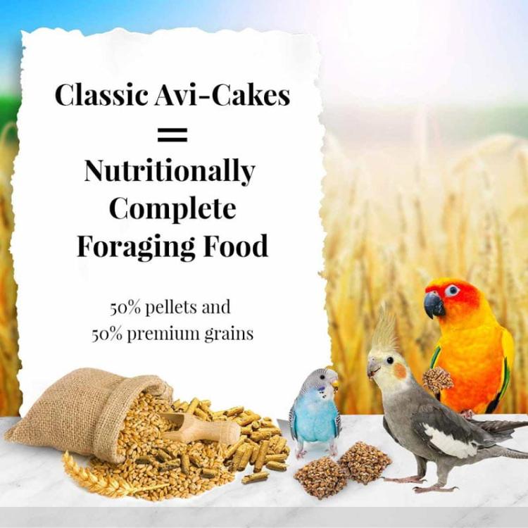 Lafeber Original AviCakes for Cockatiels - Zbilansowany pokarm: ziarno z granulatem w kształcie ciasteczka dla nimf i innych papug 230g od ParrotPlanet.pl