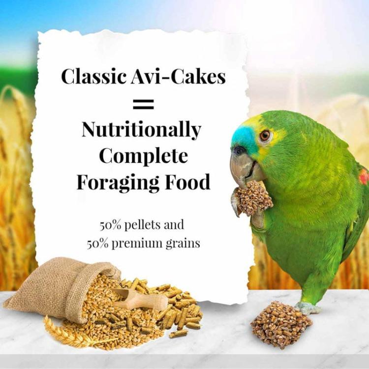 Lafeber Original AviCakes for Parrots - Zbilansowany pokarm: ziarno z granulatem w kształcie ciasteczka dla dużych i średnich papug 340g od ParrotPlanet.pl