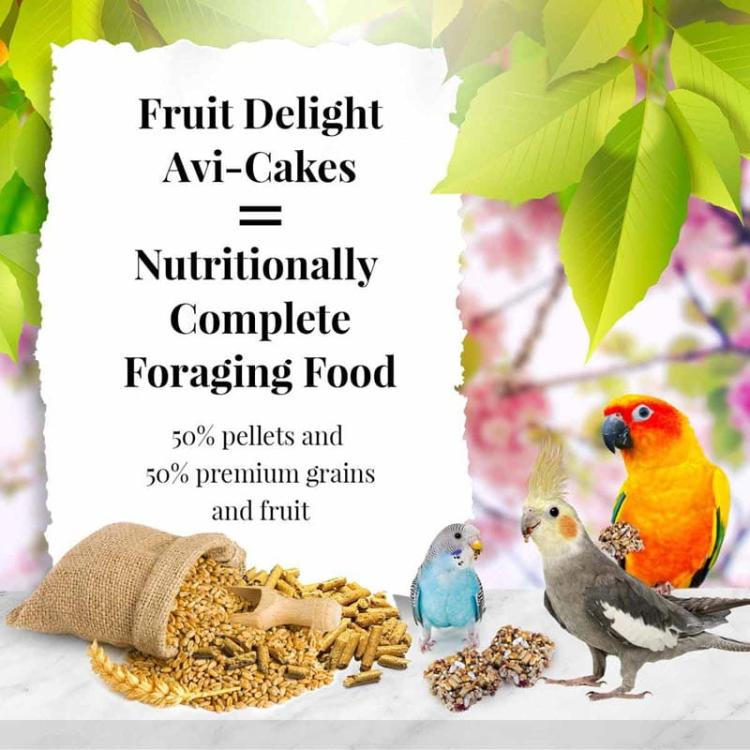 Lafeber Avi-Cakes Fruit Delight - Zbilansowany pokarm: owoce + ziarno + granulat w kształcie ciasteczka dla nimf i innych papug 230 g od ParrotPlanet.pl