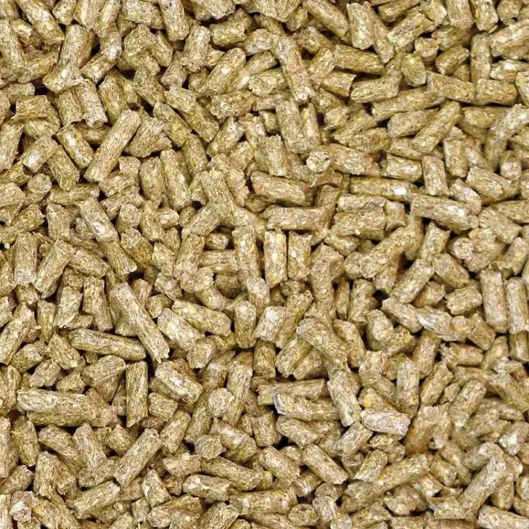TOP’s Parrot Pellets – granulés biologiques pour perroquets moyens et grands 4,54 kg ParrotPlanet.fr