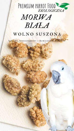 Premium Parrot Food- Ekologiczna morwa suszona dla wszystkich papug 100g od ParrotPlanet.pl