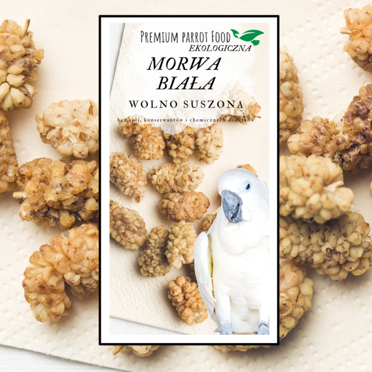 Premium Parrot Food- Ekologiczna morwa suszona dla wszystkich papug 100g od ParrotPlanet.pl