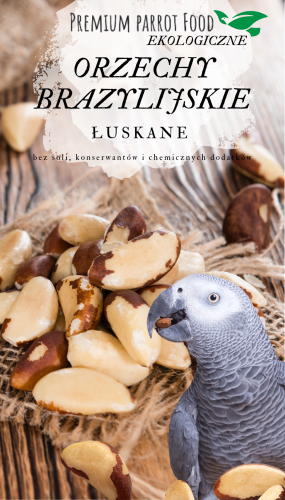 Premium Parrot Food -Ekologiczne Orzechy Brazylijskie - dla wszystkich papug 100g od ParrotPlanet.pl