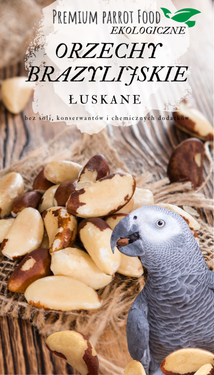 Premium Parrot Food -Ekologiczne Orzechy Brazylijskie - dla wszystkich papug 100g od ParrotPlanet.pl