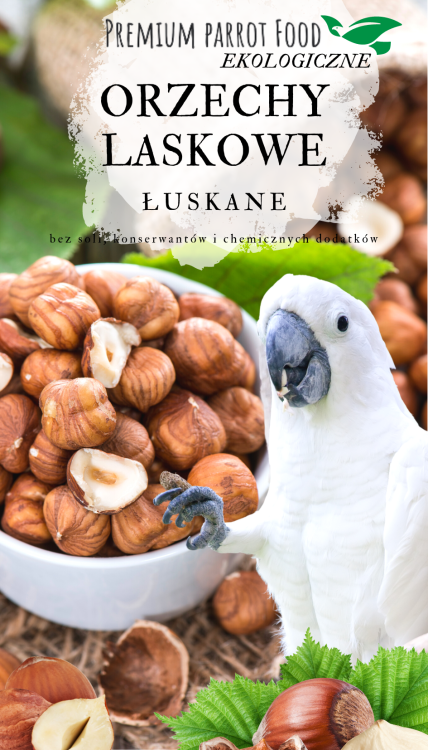 Premium Parrot Food -Ekologiczne Orzechy Laskowe - dla wszystkich papug 100g od ParrotPlanet.pl