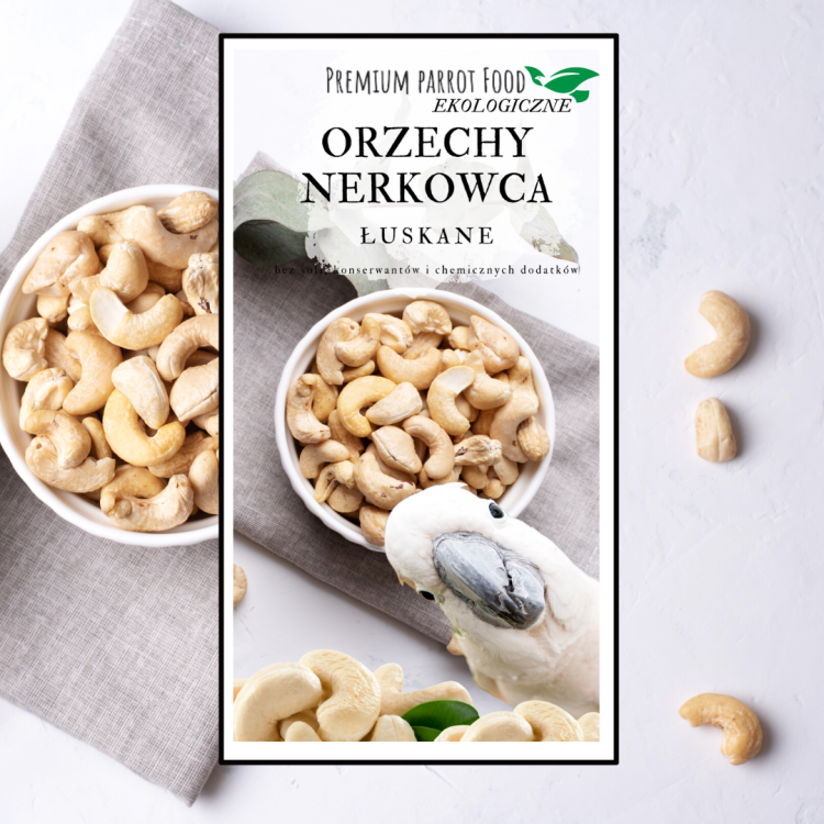 Premium Parrot Food -Ekologiczne Orzechy Nerkowca - dla wszystkich papug 100g od ParrotPlanet.pl