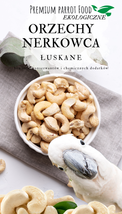 Premium Parrot Food -Ekologiczne Orzechy Nerkowca - dla wszystkich papug 100g od ParrotPlanet.pl