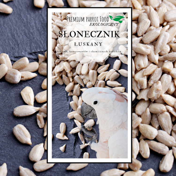 Premium Parrot Food -Ekologiczny Słonecznik Łuskany - dla wszystkich papug 100g od ParrotPlanet.pl