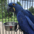 Miseczka metalowa ze stali nierdzewnej M wieszana - 600ml od ParrotPlanet.pl