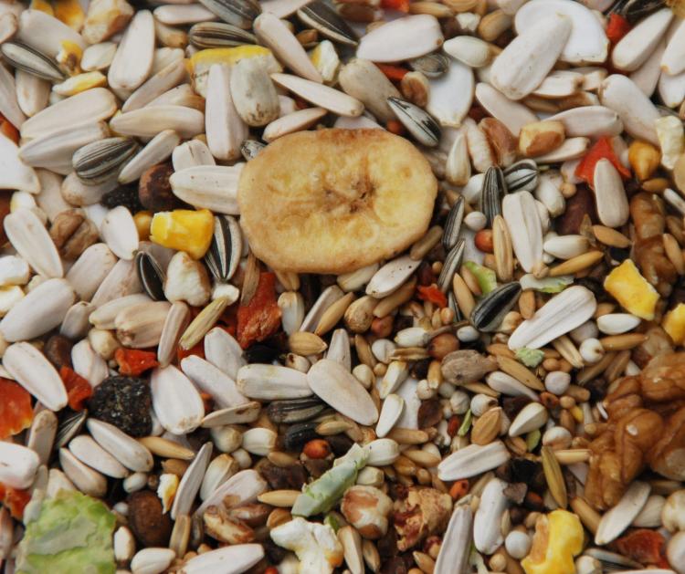 Deli Nature 57 - Mieszanka Excellent 40% słonecznika dla dużych papug 15 kg  od ParrotPlanet.pl