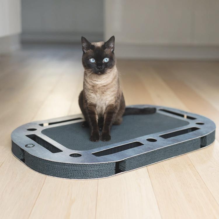 PlayPlate | Plac zabaw dla kota z drapakiem| Canadian Cat | BLACK EDITION | Wygląd Betonu od ParrotPlanet.pl