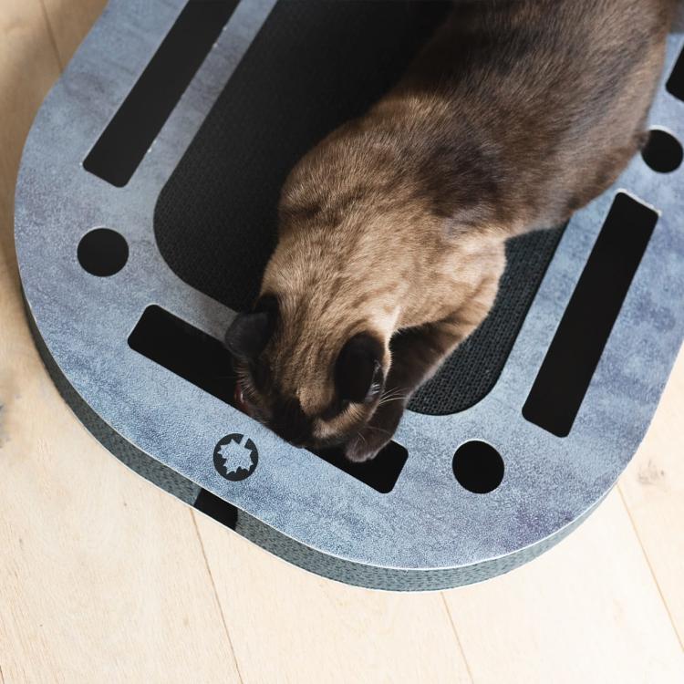 PlayPlate | Plac zabaw dla kota z drapakiem| Canadian Cat | BLACK EDITION | Wygląd Betonu od ParrotPlanet.pl
