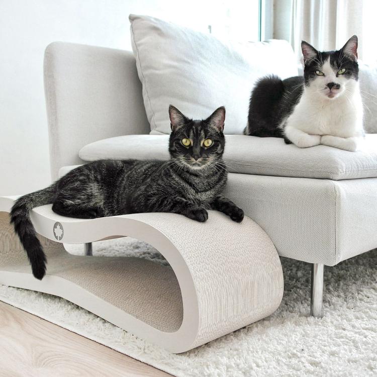 ORBIT 2.0. | Drapak dla KOTA | Canadian Cat | WHITE EDITION | Biały od ParrotPlanet.pl