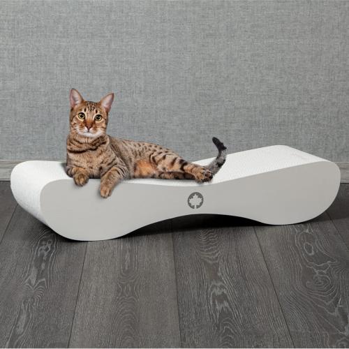 Satellite 2.0 | Drapak dla KOTA | Canadian Cat | WHITE EDITON | BIAŁY od ParrotPlanet.pl