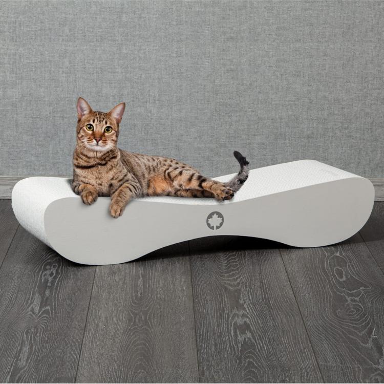 Satellite 2.0 | Drapak dla KOTA | Canadian Cat | WHITE EDITON | BIAŁY od ParrotPlanet.pl