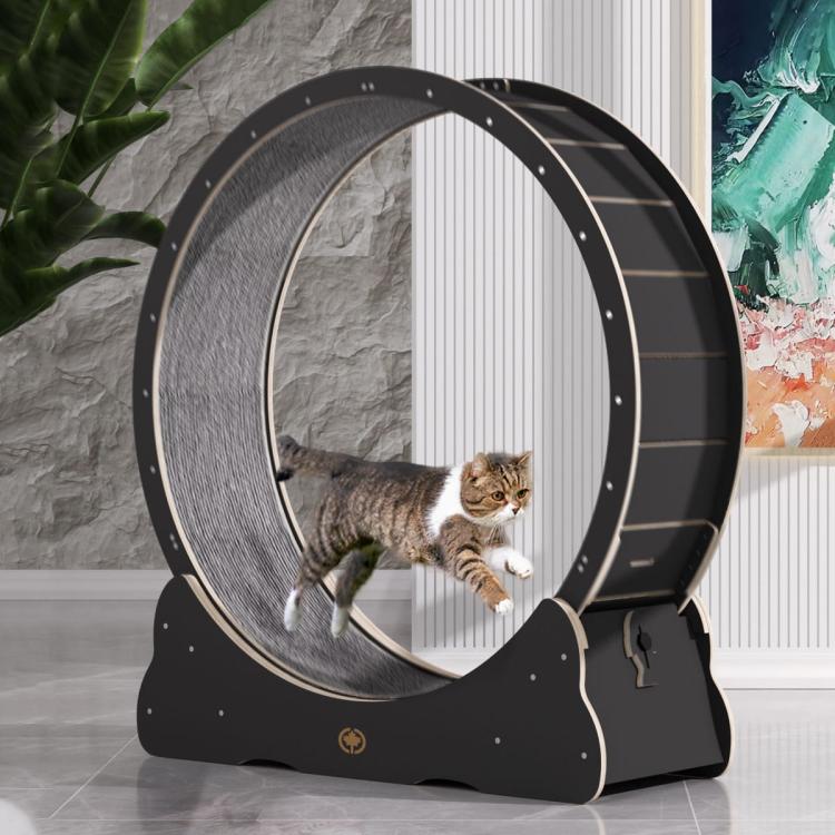 Bieżnia dla KOTA L Canadian Cat - BLACK EDITION - czarna od ParrotPlanet.pl