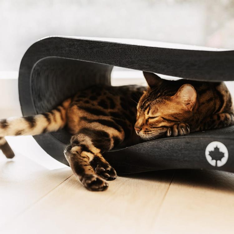 ORBIT 2.0. | Drapak dla KOTA | Canadian Cat | BLACK EDITION | CZARNY od ParrotPlanet.pl