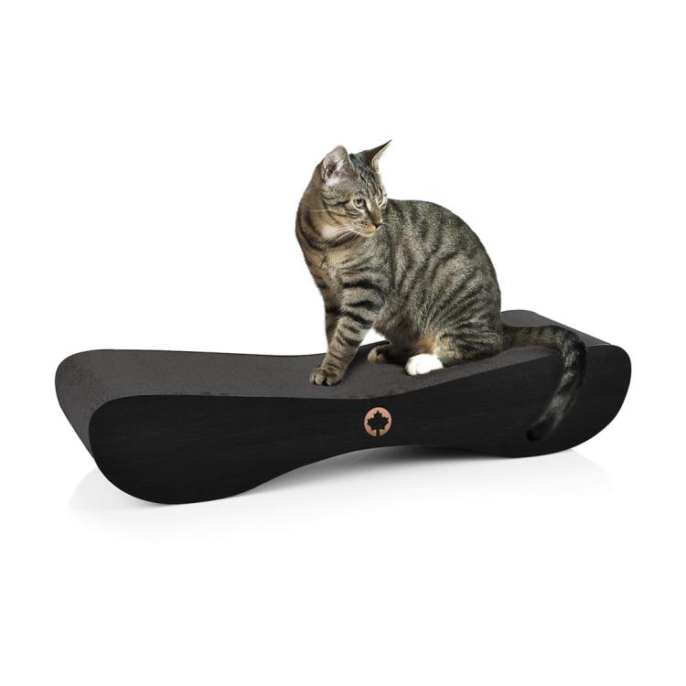 Satellite 2.0 | Drapak dla KOTA | Canadian Cat | BLACK EDITON | CZARNY od ParrotPlanet.pl