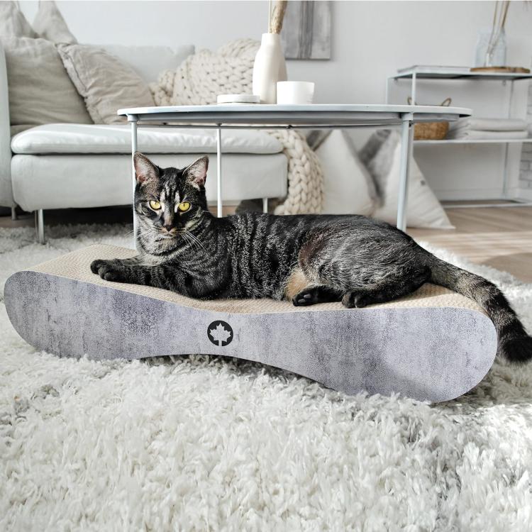 Satellite 2.0. | Drapak dla KOTA | Canadian Cat | wygląd betonu od ParrotPlanet.pl