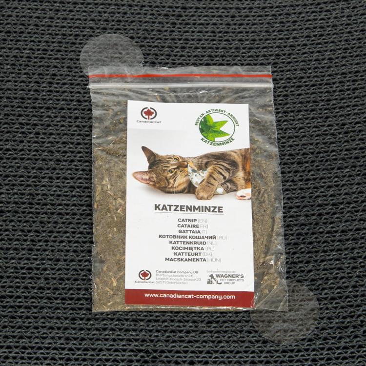 Orbit 2.0. SMALL | Drapak dla KOTA | Canadian Cat | Black Edition | Czarny od ParrotPlanet.pl