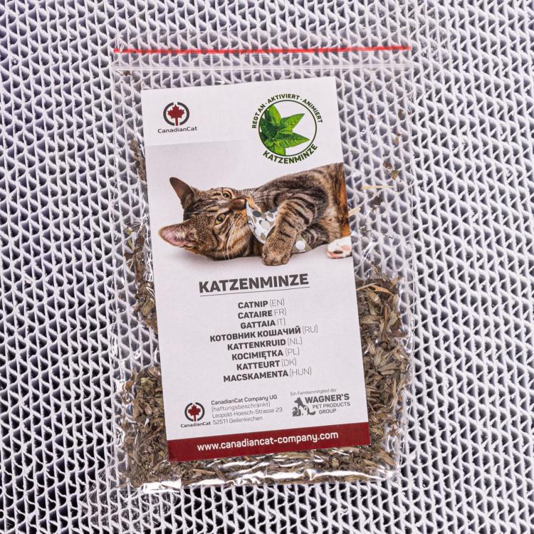 COMET XL | Drapak dla KOTA Canadian Cat | WHITE EDITION | BIAŁY od ParrotPlanet.pl
