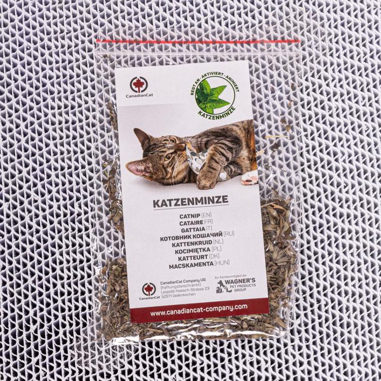 COMET L | Drapak dla KOTA Canadian Cat | WHITE EDITION | BIAŁY od ParrotPlanet.pl