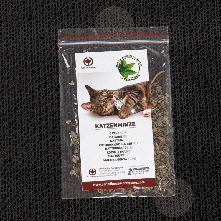 COMET L | Drapak dla KOTA Canadian Cat | BLACK EDITION | CZARNY od ParrotPlanet.pl