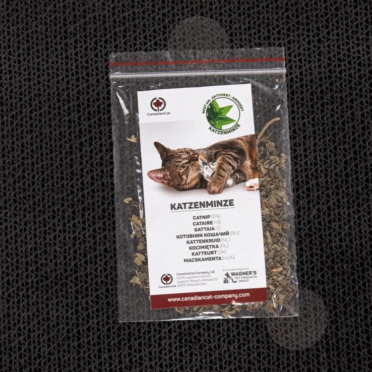 COMET XL | Drapak dla KOTA Canadian Cat | BLACK EDITION | CZARNY od ParrotPlanet.pl