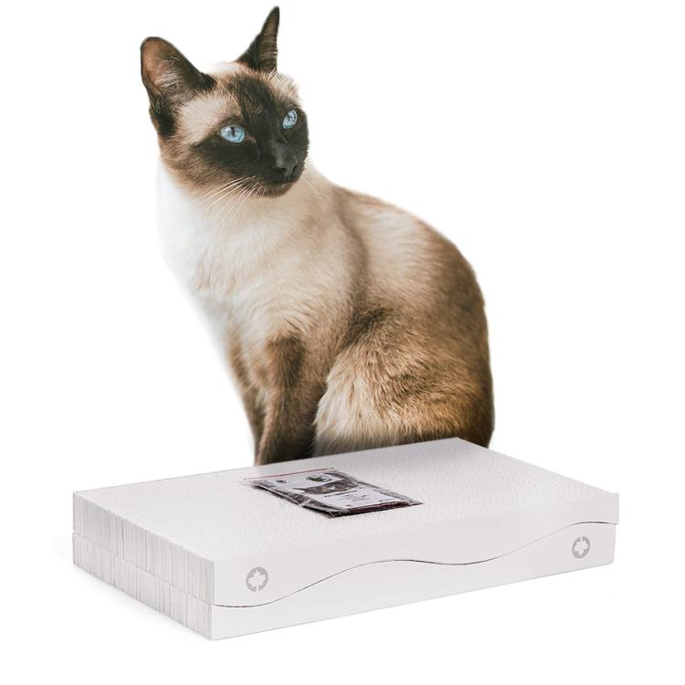 Scratch 2 w 1 | Drapak dla KOTA Canadian Cat | WHITE EDITION | BIAŁY od ParrotPlanet.pl