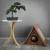 Triangle House | Kryjówka, drapak, jaskinia | Canadian Cat od ParrotPlanet.pl