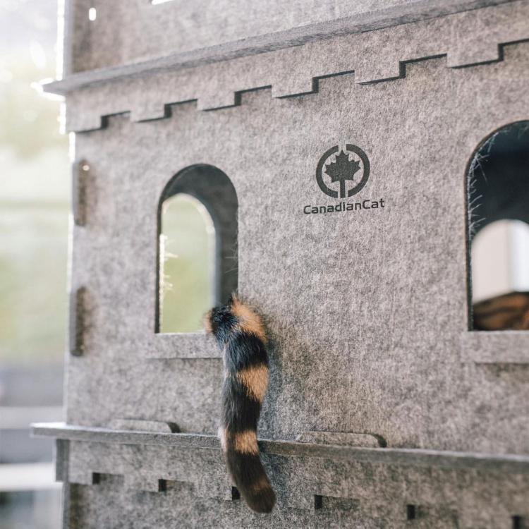 Felty Fort | Koci Zamek | Canadian Cat | 3 kondygnacje | z poduszką od ParrotPlanet.pl