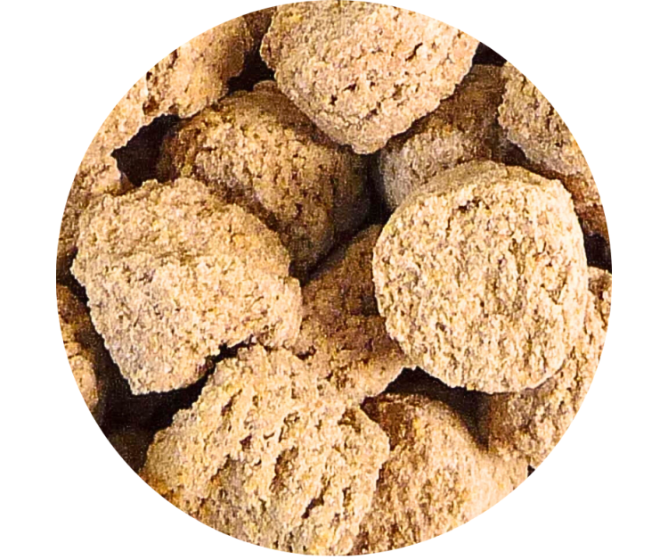 VETAFARM- MACAW NUTS - Całoroczny ORZECHOWY granulat dla AR i innych papug  Ameryki Południowej 2kg od ParrotPlanet.pl