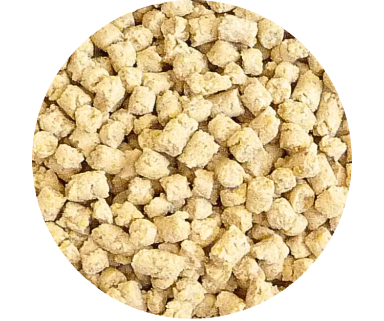 VETAFARM- Maintenance Diet - Całoroczny granulat dla WSZYSTKICH PAPUG 350g od ParrotPlanet.pl