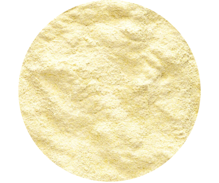 Vetafarm Golden Lori Rice Formula - Pokarm dla Lorys 450g od ParrotPlanet.pl