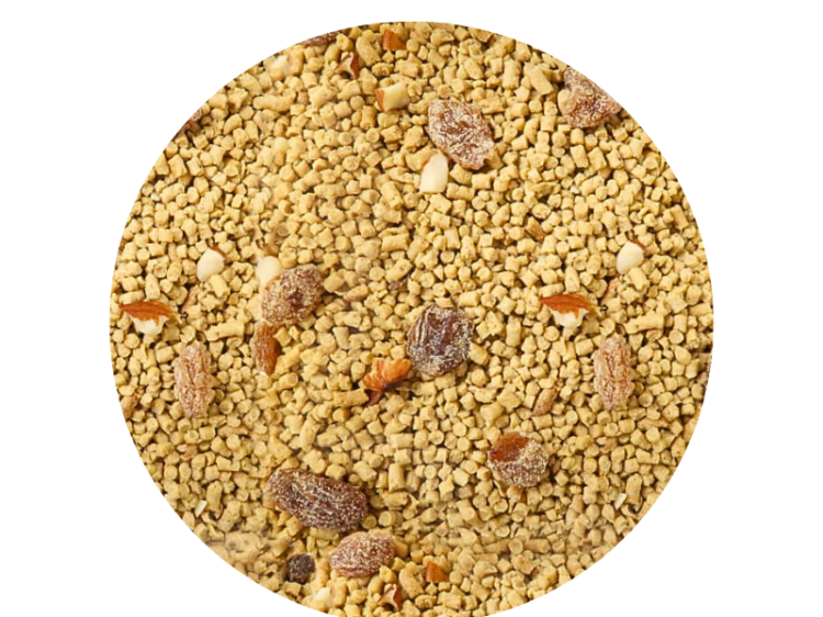 VETAFARM- PARROT ESSENTIALS - Całoroczny granulat ORZECHOWO-OWOCOWY dla WSZYSTKICH PAPUG 350g od ParrotPlanet.pl