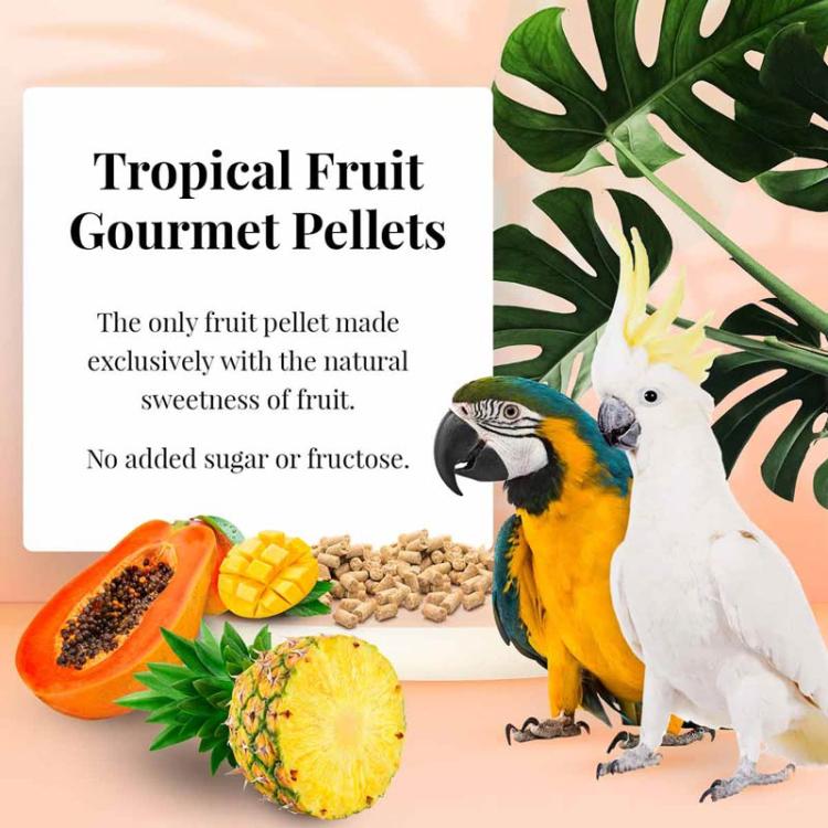 Lafeber Gourmet Pellets - Tropical Fruit - Macaw & Cockatoo - Zbilansowany pokarm: granulat z owocami dla AR I KAKADU 567g od ParrotPlanet.pl