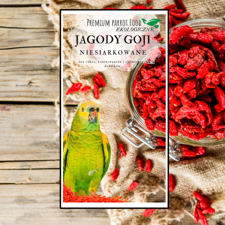Ekologiczne Jagody Goji - owoce wolnosuszone dla wszystkich papug 100 g od ParrotPlanet.pl