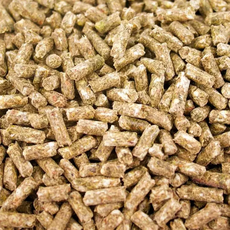 TOP’s Parrot Pellets – granulés BIO pour perroquets de toutes tailles, 453 g ParrotPlanet.fr