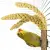 Back Zoo Nature - Uchwyt na proso dla wszystkich papug od ParrotPlanet.pl
