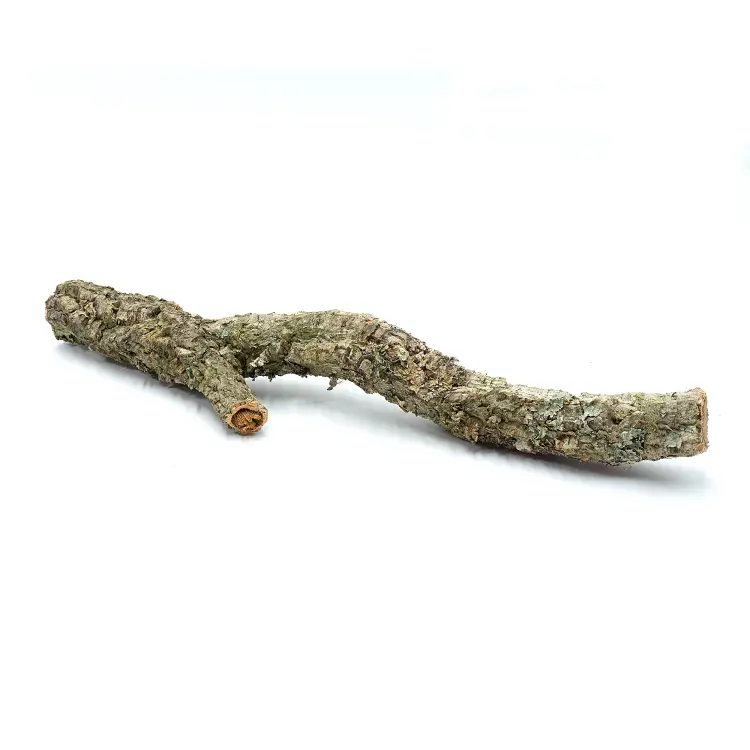 Żerdź z Kory Dębu Korkowego - dla średnich i dużych PaPug 30 cm od ParrotPlanet.pl