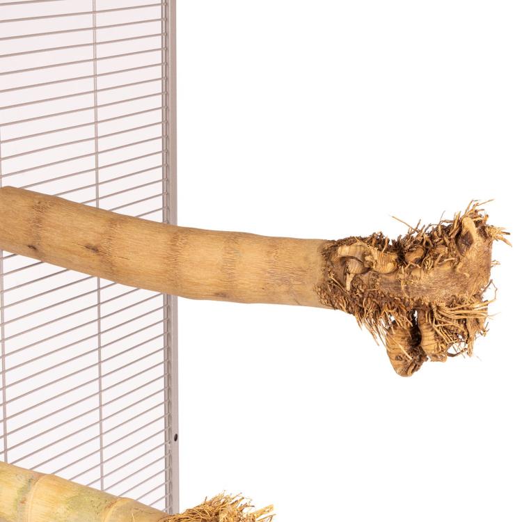 Żerdź bambusowa "L" - żerdź z zabawką dla dużych papug od ParrotPlanet.pl