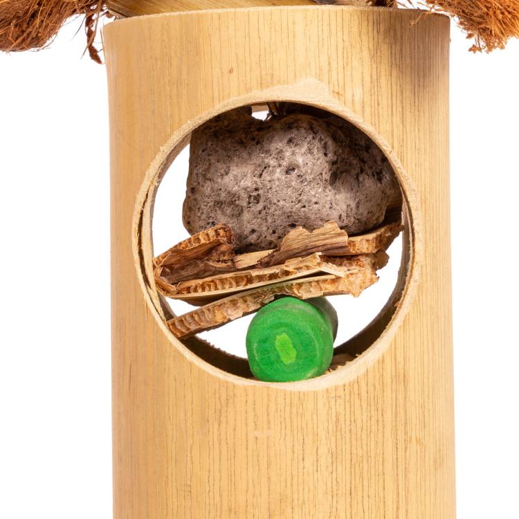 Surprise | Naturalna zabawka dla papug z drewnem Java | Nauka żerowania  od ParrotPlanet.pl