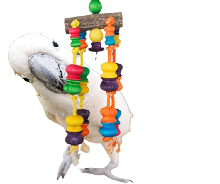 Simply Wood Toy | ogromnie kolorowa zabawka dla papug od ParrotPlanet.pl