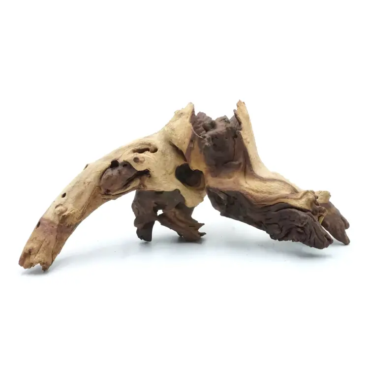 Mopani Naturel - Jouet Écologique pour Toutes les Variétés de Perruches de ParrotPlanet.fr