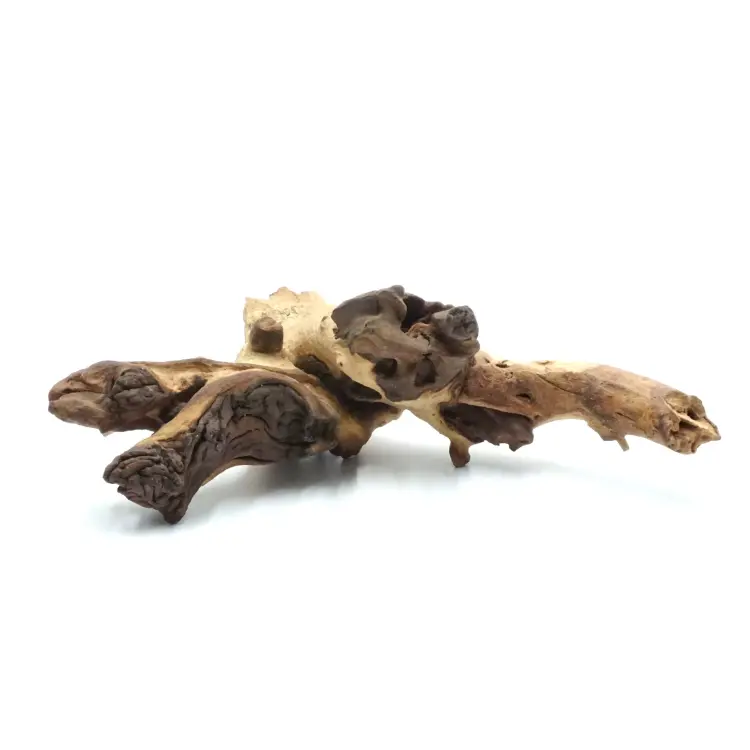 Mopani Naturel - Jouet Écologique pour Toutes les Variétés de Perruches de ParrotPlanet.fr