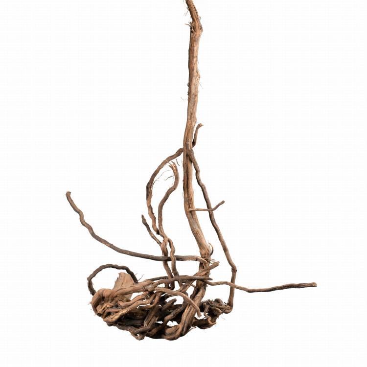 Jouet Naturel en Racine de Vigne pour Perroquets - Parrot Planet.fr